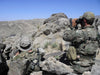 SGI - Surveillance Operations in Rural Environments - (SORE)
