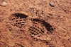 SGI - Military Combat Tracking (Level-I)